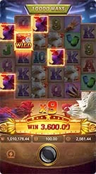 55r · Rooster Rbl
